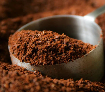 Castillo - Medium Roast - B28